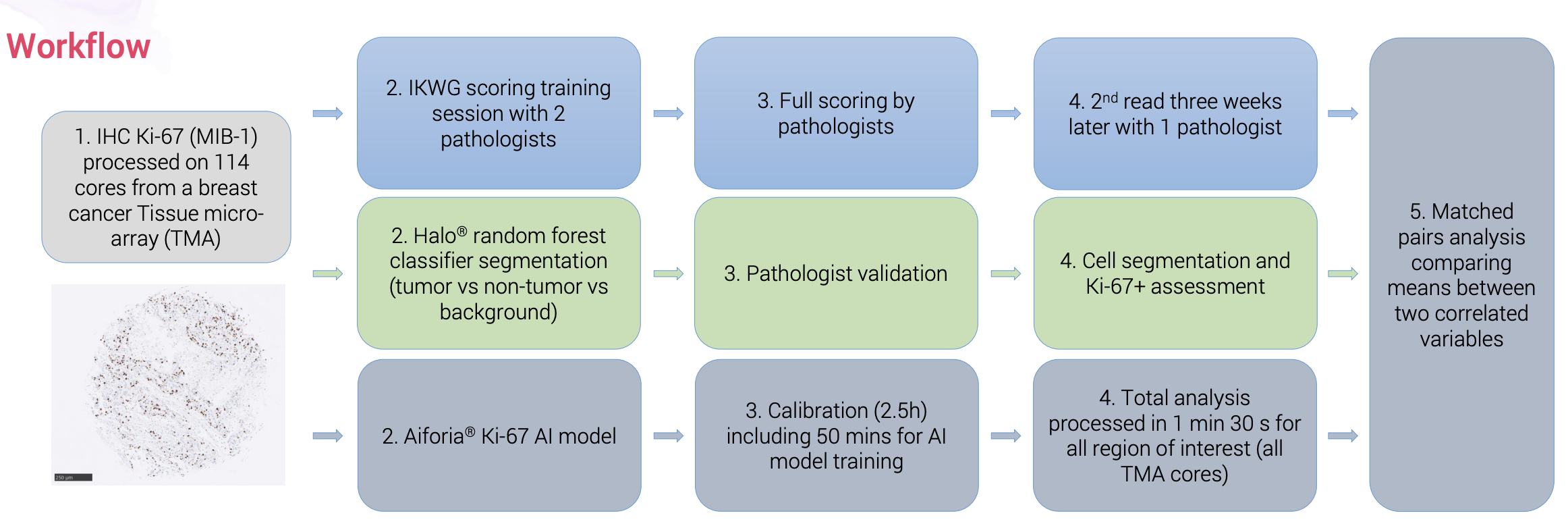 cerba-research-case-study-figure2