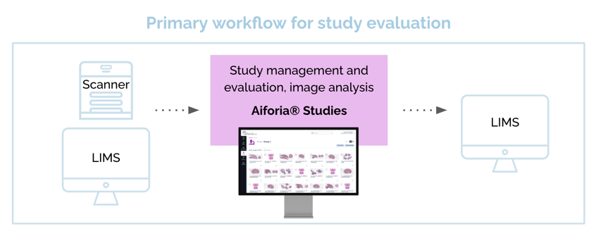 glp-primary-workflow-for-study-evaluation