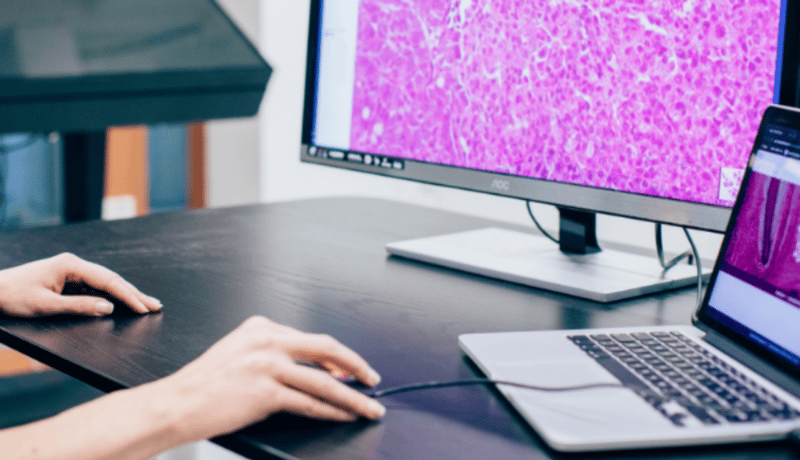 Experimentica case study_ accelerating preclinical analysis of ocular diseases_image