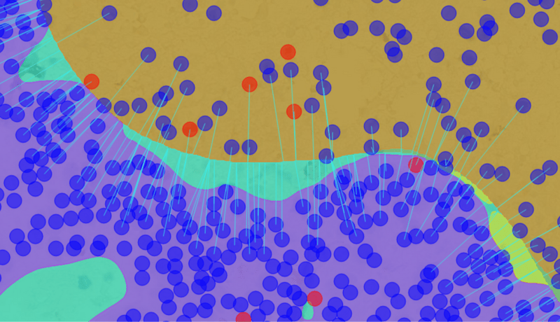 Faron Pharmaceuticals case study_ using AI to perform spatial analysis in cancer drug development_image