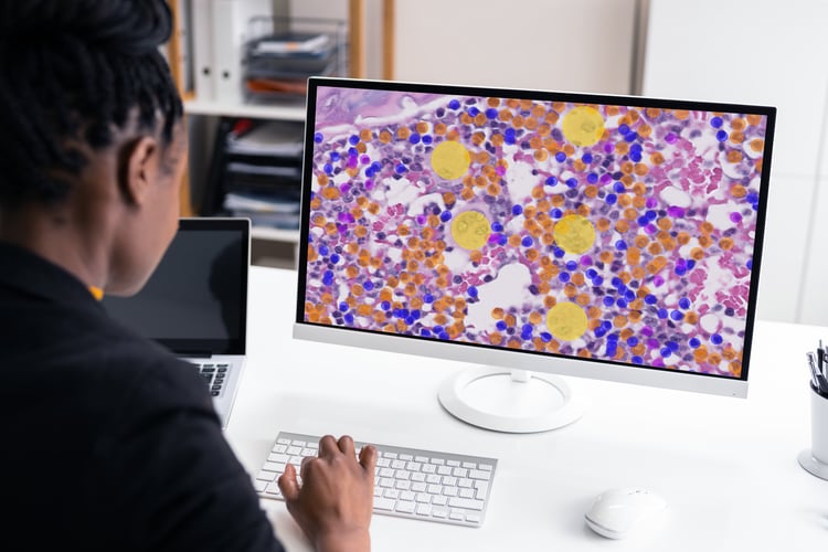 GLP and AI-assisted image analysis: what to take into account