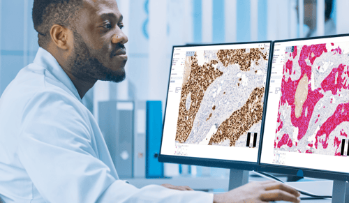 Digital pathology deployment in Veneto: 8 steps to success