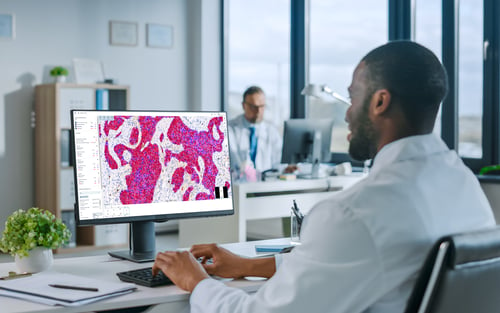 Quality control strategies for effective AI in digital pathology