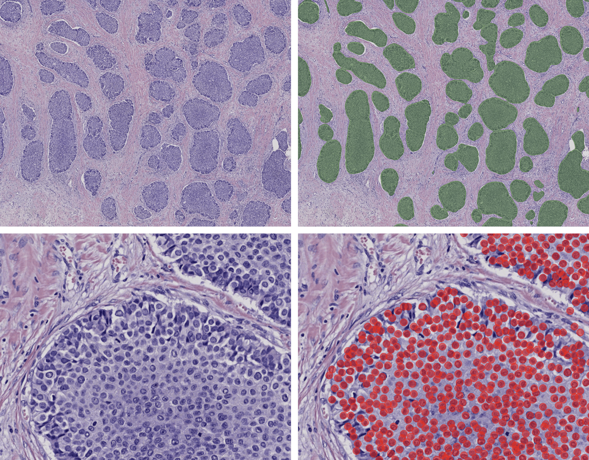 Preclinical blog post pictures_adjusted