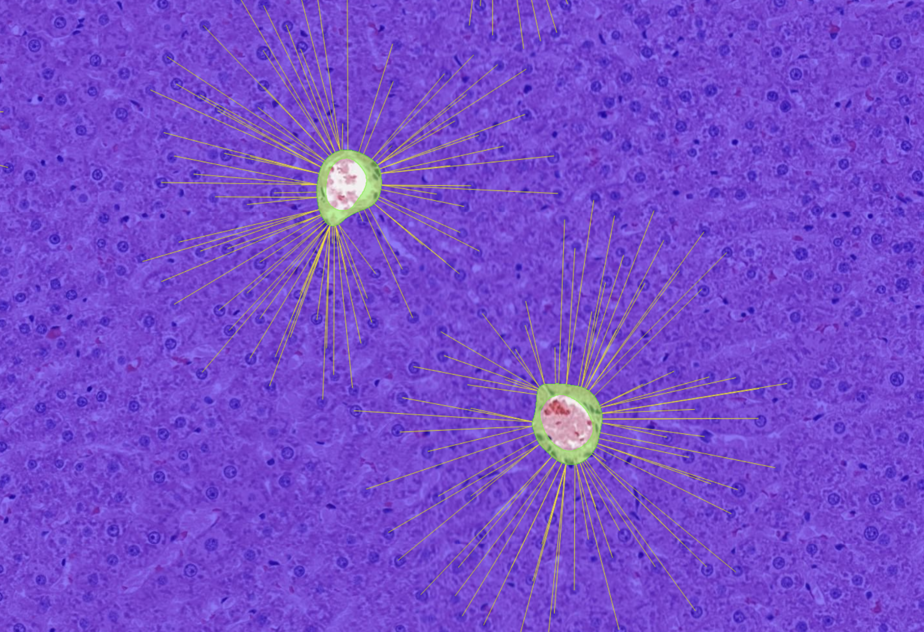 Toxicopathology_image 1