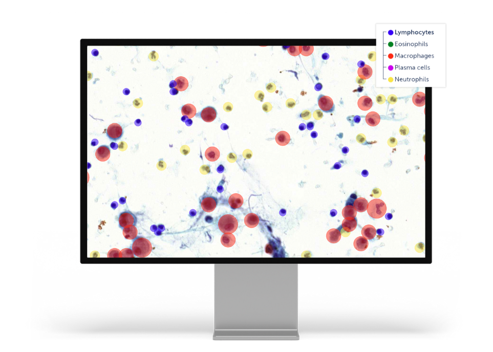 Veterinary diagnostic AI applications_example 2